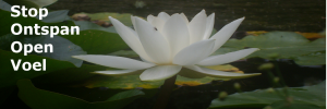 zazen